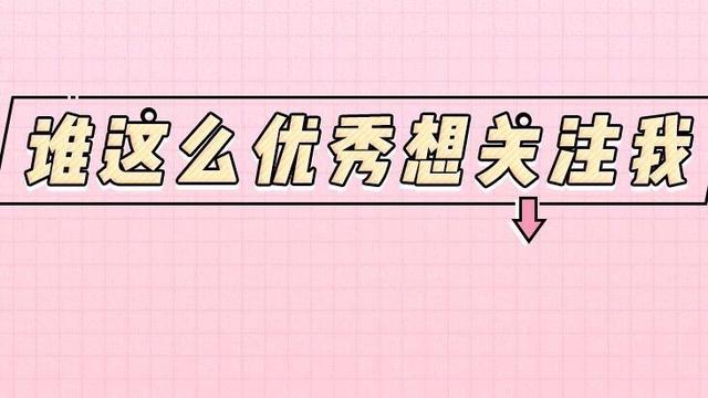 养狗就选这6种：养一只好狗，可以陪伴一生