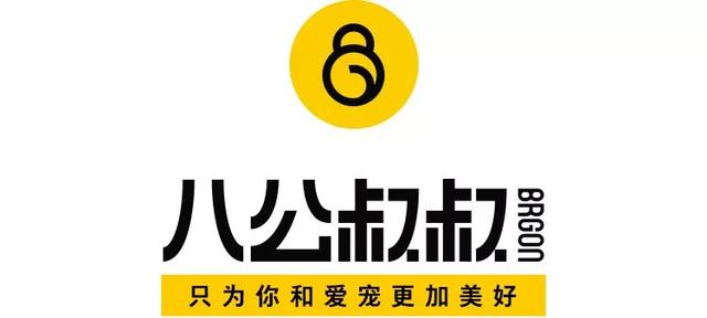 没想到养狗还能治病！困扰自己多年的洁癖都根治了！