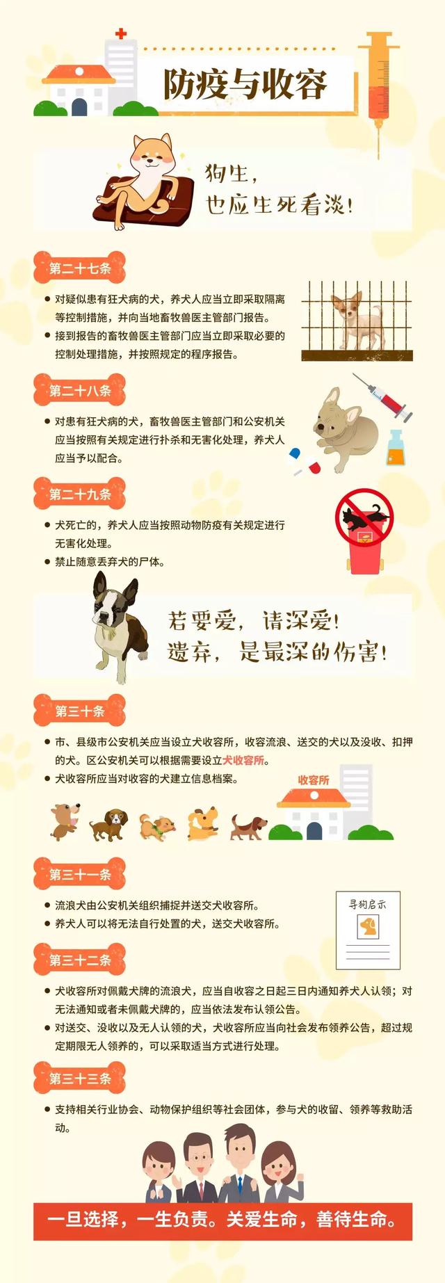 @威海人，养犬有新规定啦！