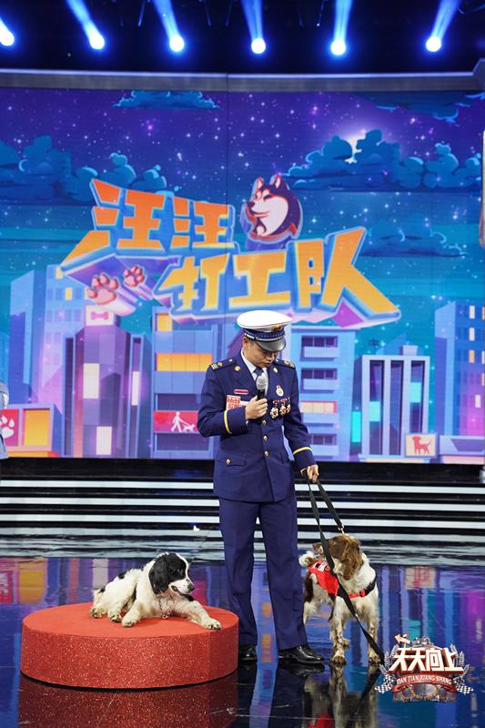 王一博体验训犬员工作《天天向上》将播“打工犬”专场