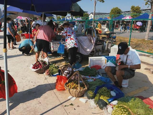 滁州“狗市”，被低估了