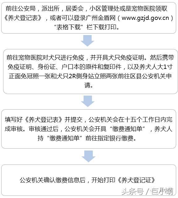 最严新规出台！4步办好“养犬登记证”就不怕