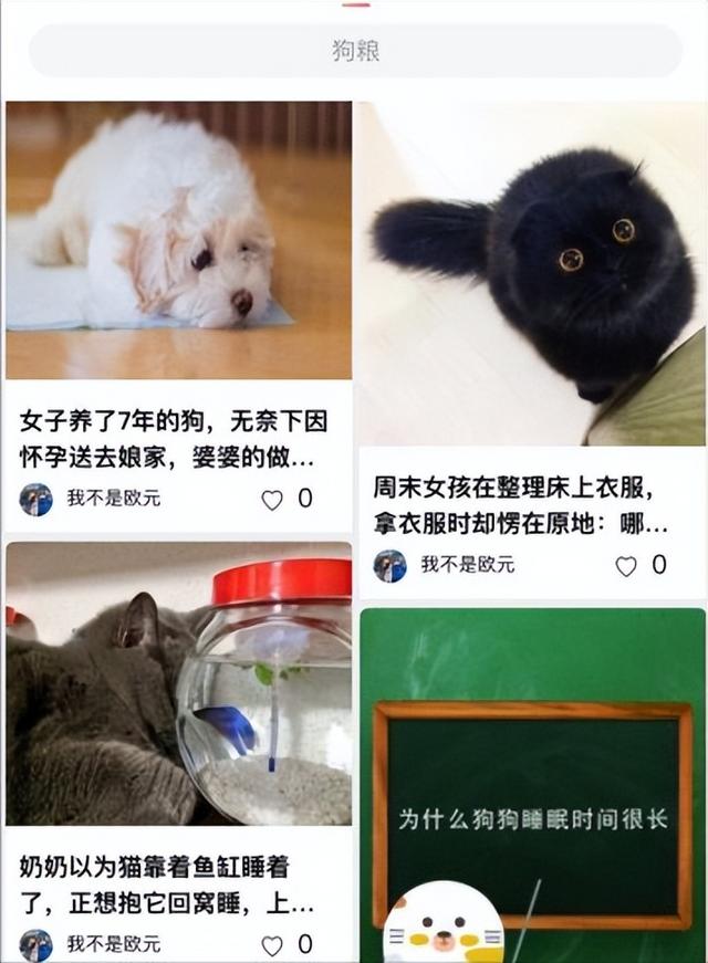 第一次养狗不太懂，有什么宠物APP比较好用？