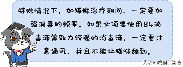 家庭养宠必不可少的一步——消毒，该怎么做？