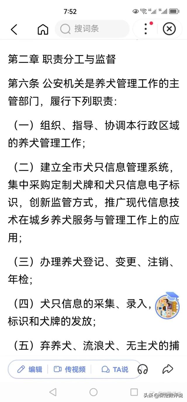 保定创城别忘了这一块儿，还需要治理养狗人，职能部门得管事儿