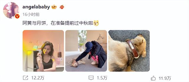 杨颖晒母子合影，与爱犬阿黄同框，被指暗讽黄晓明