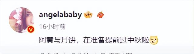 杨颖晒母子合影，与爱犬阿黄同框，被指暗讽黄晓明