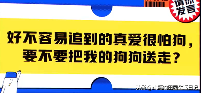 很怕狗怎么办？养狗一年多，治愈了我的恐狗症