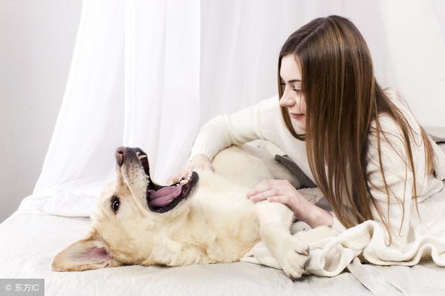 喜欢养猫的男人与喜欢养狗的女人，他们各是什么性格？