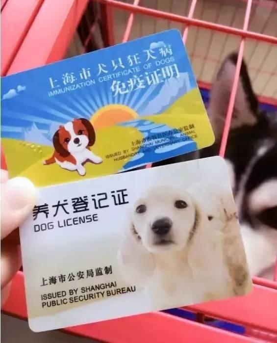 养犬证办理攻略（上海）