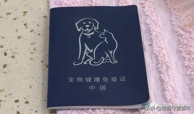 8月起《长春市养犬管理条例》实施，附《养犬证》网上办理指南