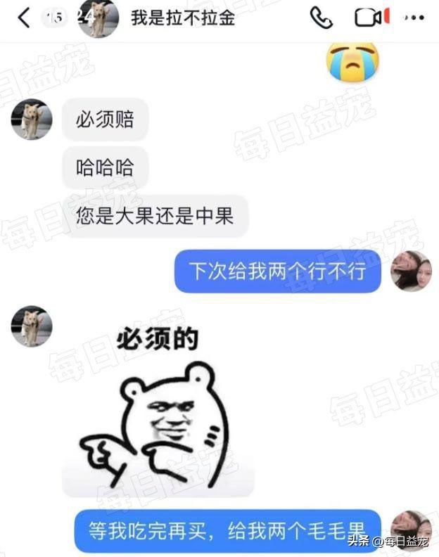 狗子热心帮忙摘橘子，却不幸遭网暴，不知情的它仍卖力采摘