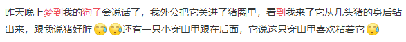 主人们梦到过狗子吗？网友：梦到它变成人了