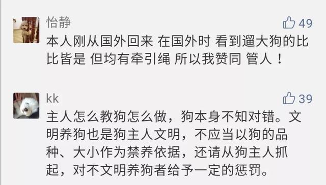 @湖北养狗人：明天开始，全省专项治理