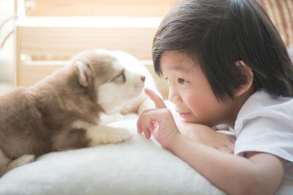 家里养狗对小孩的影响(讲真家里养狗对孩子的好处，比你想的要多得多)