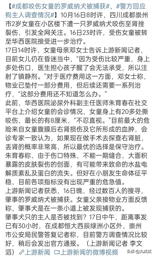 看完德国的养狗规定，你就会明白什么叫文明养狗，爱狗人士慎入