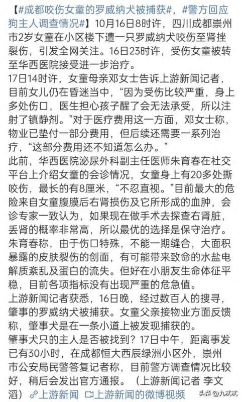 外国人怎么养狗(看完德国的养狗规定，你就会明白什么叫文明养狗，爱狗人士慎入)