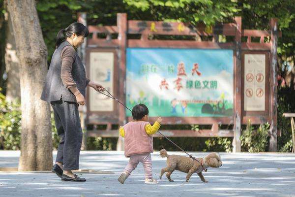 郑州养狗规定(新版《动物防疫法》即将实施 郑州犬证办理量比平时高两倍 养狗需要做哪些看过来)