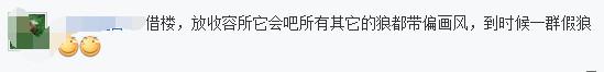 二哈：我居然一直跟一只狼生活在一起？还成好朋友了可给我吓坏了