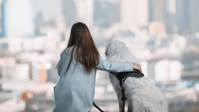 养狗的6大害处，很多人都接受不了