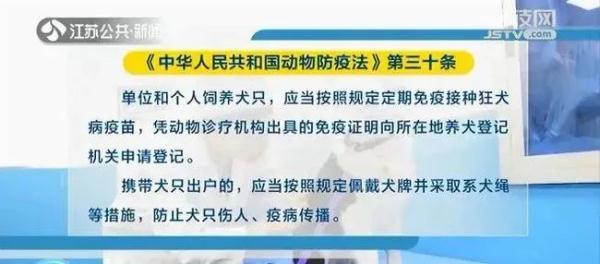 注意！5月1日起，遛狗不栓绳违法