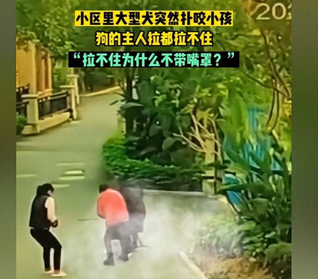 大型犬你敢养吗？到底应不应该禁止养大型犬？哪些狗不能养