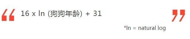 计算狗狗年龄你还用一乘七？专家给出换算公式！你家狗狗多少岁了