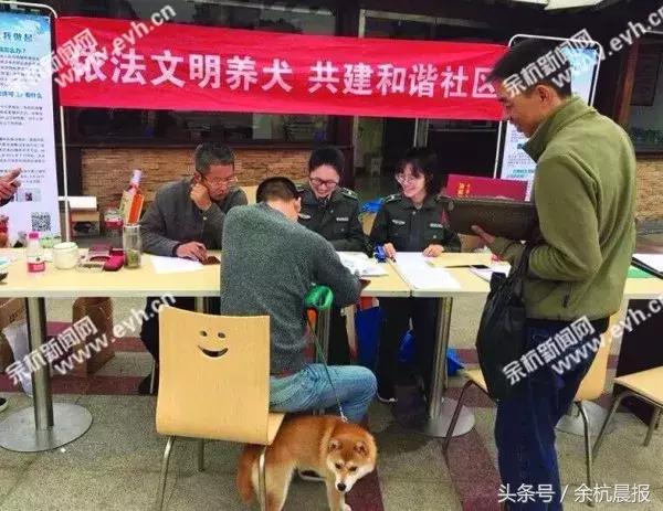 余杭违规养犬、遛犬要被严管了！办养犬证攻略都在这里了！