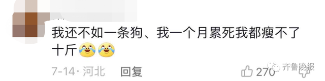 火上热搜！狗狗请私教健身，猛瘦30斤！教练揭秘减肥过程：跟人一样