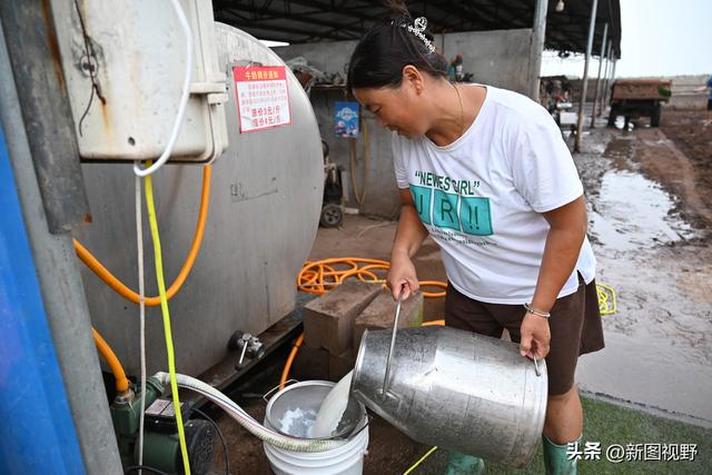 夫妻做“牛”生意，发现“财富密码”，每天赚2000元，全年无淡季