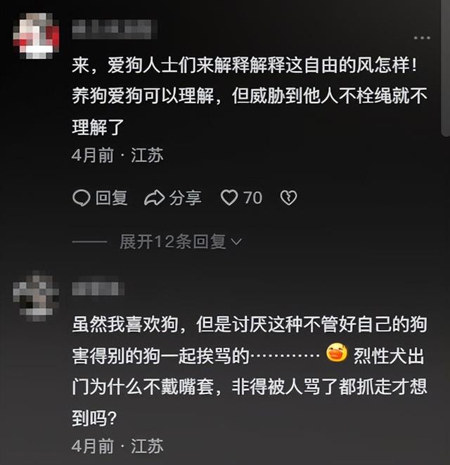 大型犬你敢养吗？到底应不应该禁止养大型犬？哪些狗不能养