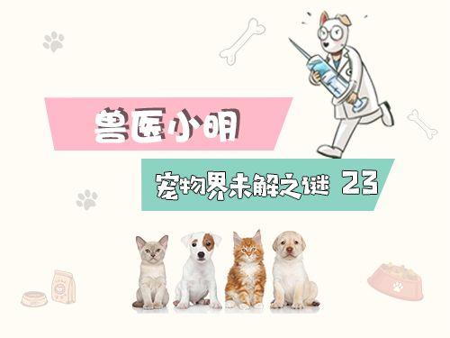 辟谣！狗狗打过狂犬疫苗就有了抗体，咬人不存在任何问题不能信