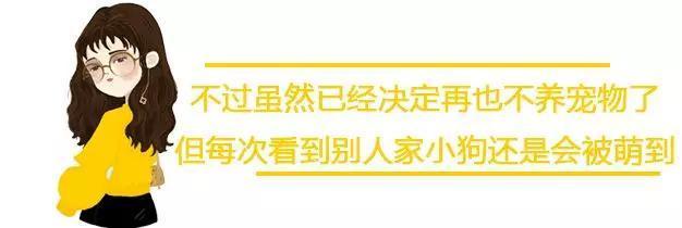 看到这只满身肌肉的狗，健身10年的我怂了