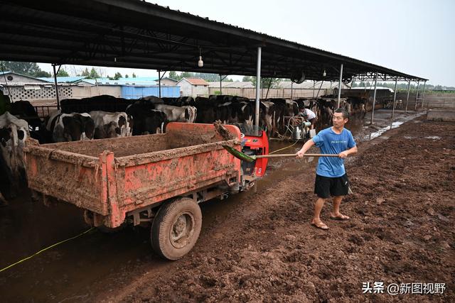 夫妻做“牛”生意，发现“财富密码”，每天赚2000元，全年无淡季