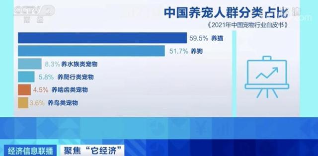 我国一人户家庭超1.25亿户，养猫人群数超过养狗人群数