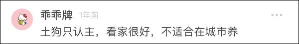 杭州大爷带中华田园犬办证被拒，“土狗”被禁止当宠物养？