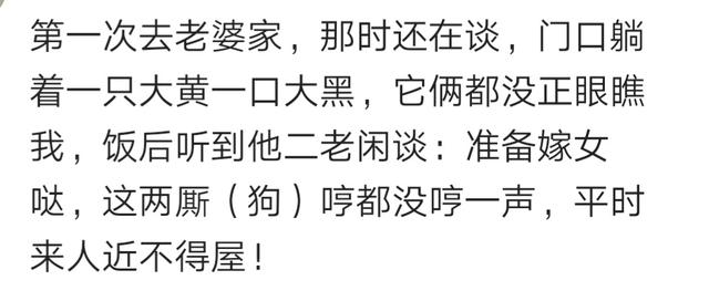 结婚前一天，被自己狗给咬了，现在婚姻生活也一言难尽