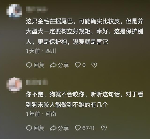 大型犬你敢养吗？到底应不应该禁止养大型犬？哪些狗不能养