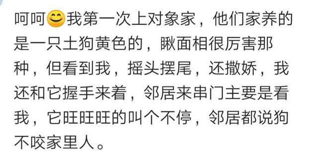 结婚前一天，被自己狗给咬了，现在婚姻生活也一言难尽