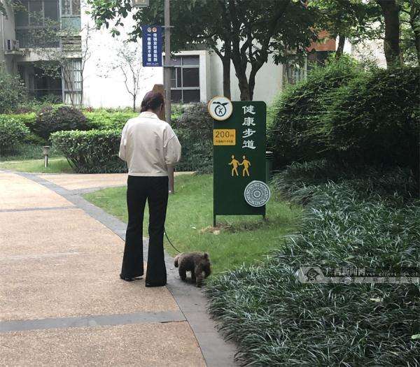 小区养狗规定(注意5月1日起这些养狗行为被视为违法 将被罚款)