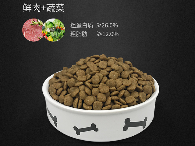 狗狗怀孕期间的，4大饮食注意事项，宠主一定要重视