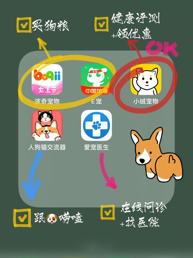 实测超好用的5款宠物APP！