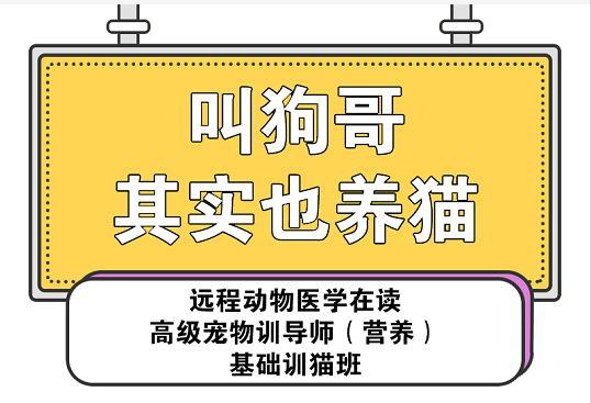 各地撒鼠药，狗狗被毒死，宠物医院不开门，怎么预防治疗鼠药中毒