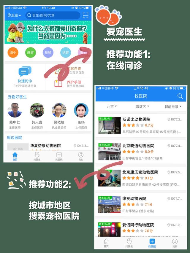 实测超好用的5款宠物APP！