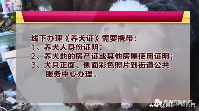 8月起《长春市养犬管理条例》实施，附《养犬证》网上办理指南