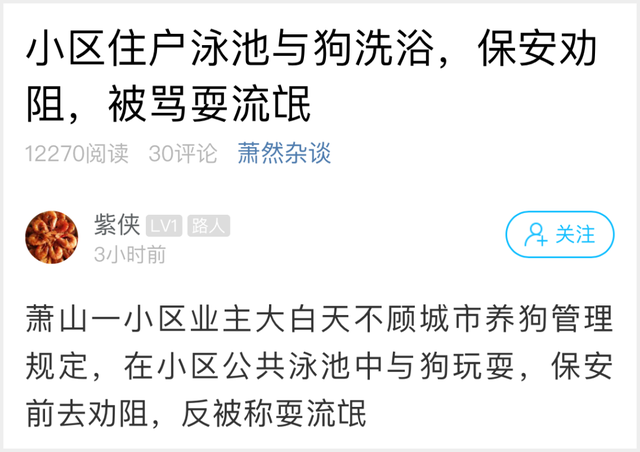 羞羞！女子在小区泳池与狗玩耍，业主群炸了！城管、警察全来了