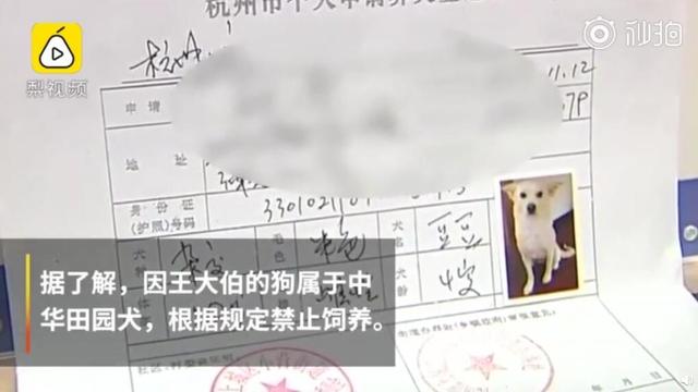 杭州大爷带中华田园犬办证被拒，“土狗”被禁止当宠物养？