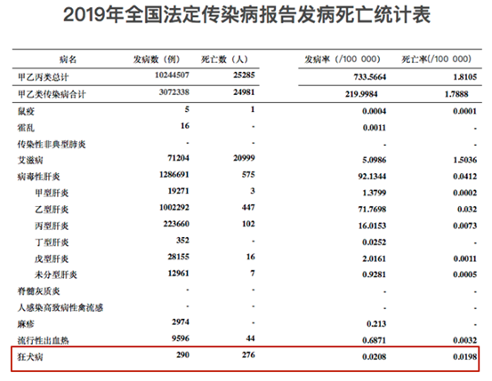 狂犬病致死率100%，被狗抓伤怎么办？专家给出3个救命建议