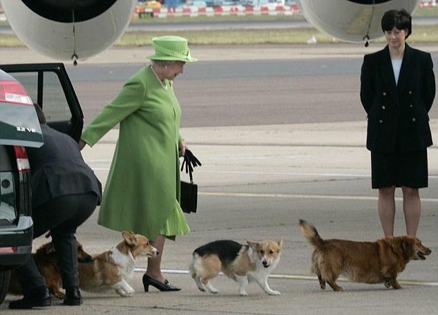 英国女王与她的柯基们：狗陪伴她走完人生旅程