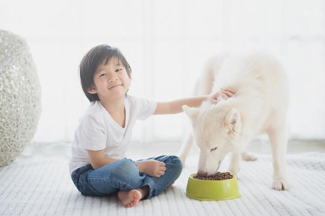 讲真！家里养狗对孩子的好处，比你想的要多得多